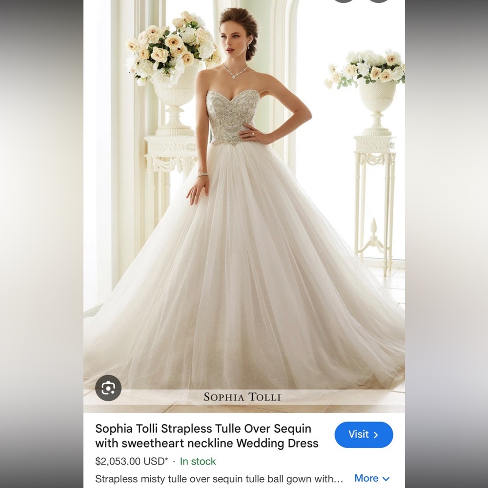 Sophia Tolli Blush Bridal Gown with Embellished Bodice